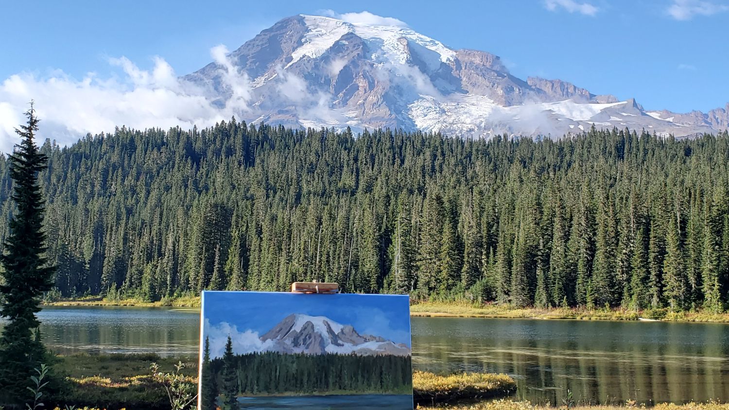 Mount Rainier NP 